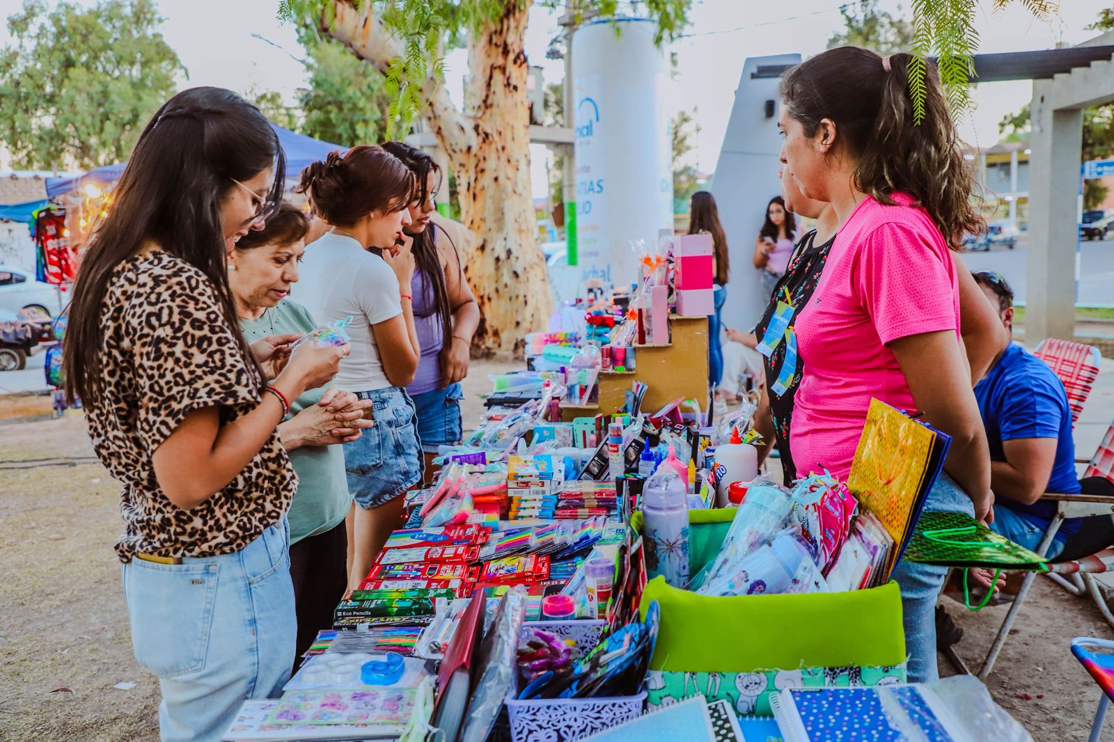 WhatsApp Image 2026-02-14 at 18.54.51