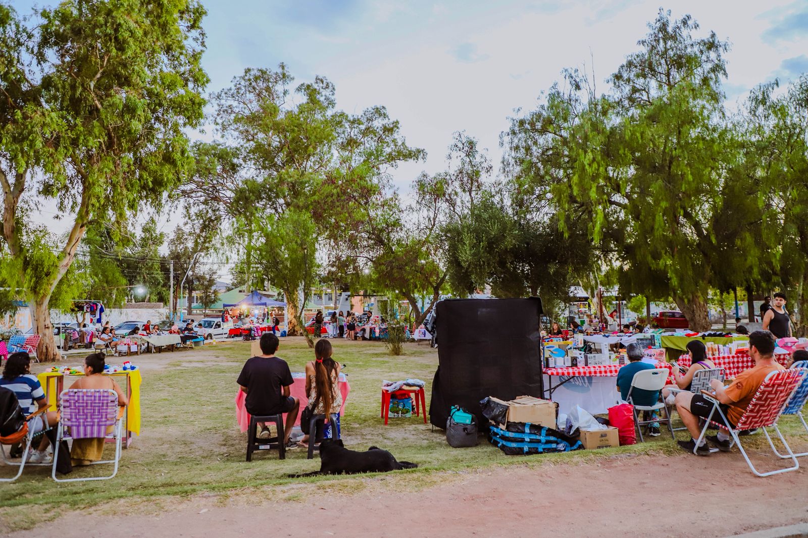 WhatsApp Image 2026-02-14 at 18.54.52