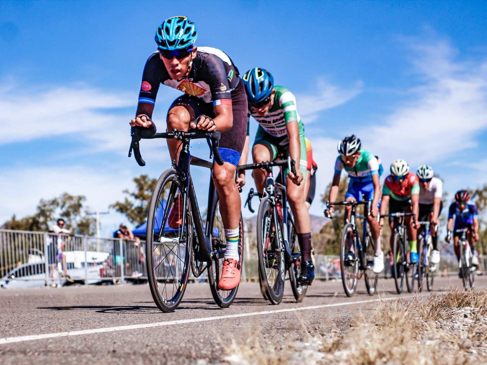 WhatsApp Image 2026-04-13 at 11.41.36 (2)