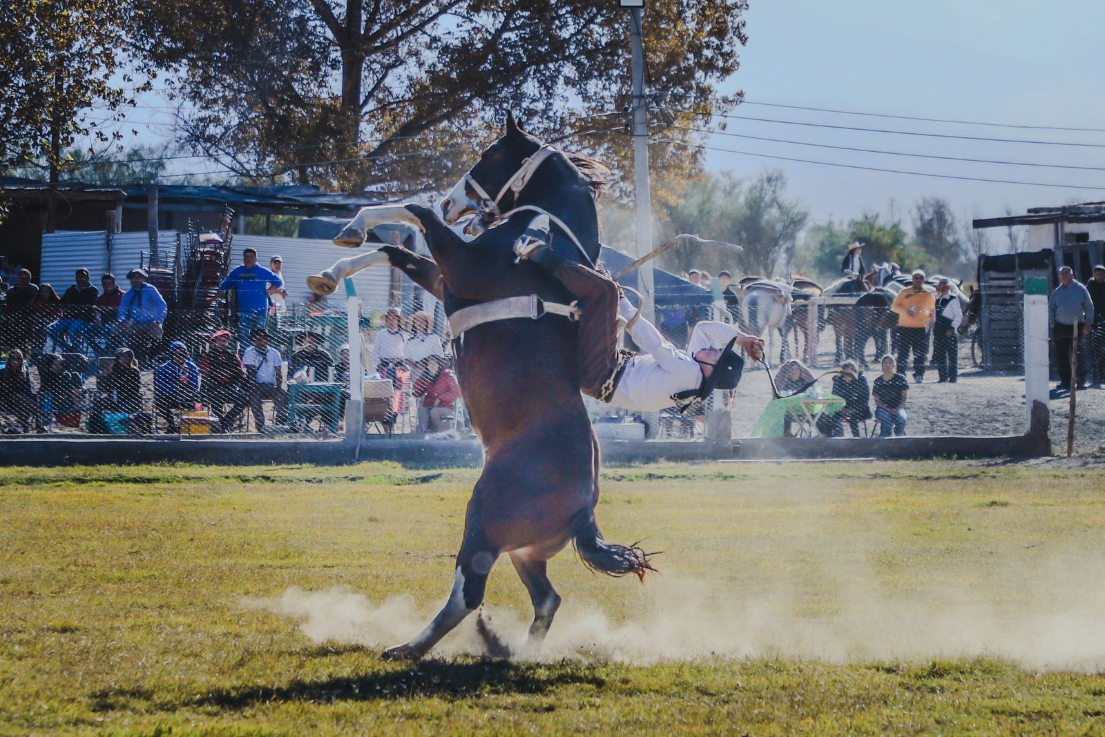 Destrezas criollas y música popular marcaron el Festival Día del Trabajador en Jáchal