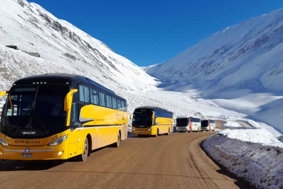 Vicuña proyecta una licitación de US$70 millones para incorporar 200 colectivos cero kilómetro